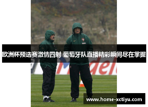 欧洲杯预选赛激情四射 葡萄牙队直播精彩瞬间尽在掌握