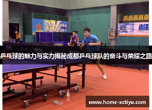 乒乓球的魅力与实力揭秘成都乒乓球队的奋斗与荣耀之路