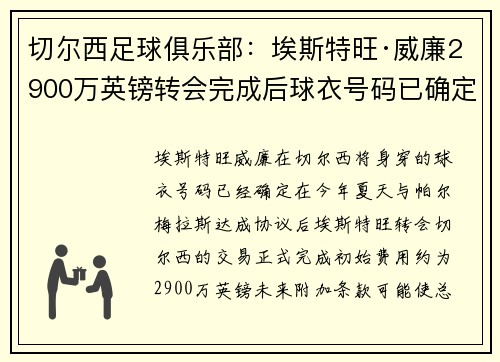 切尔西足球俱乐部：埃斯特旺·威廉2900万英镑转会完成后球衣号码已确定